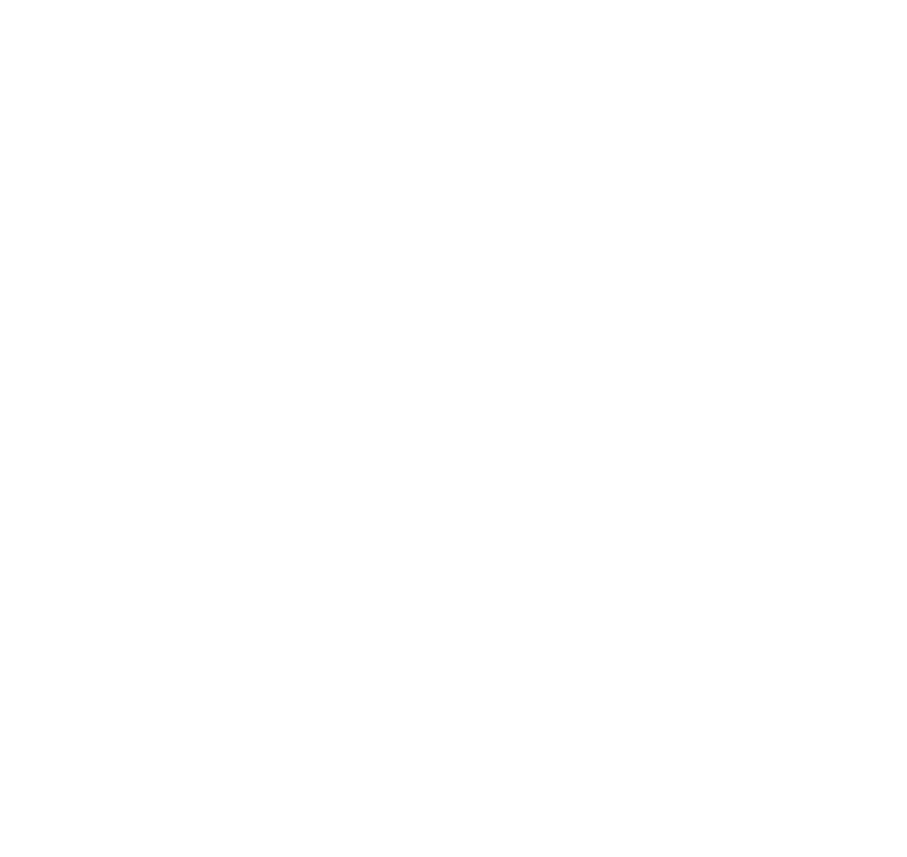 fesa_ico_w